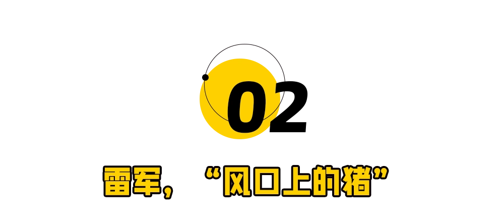 雷军的财富增长与战略投资_雷军财富构成_雷军的投资方向