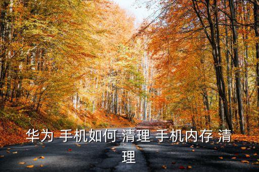 华为 手机如何 清理 手机内存 清理