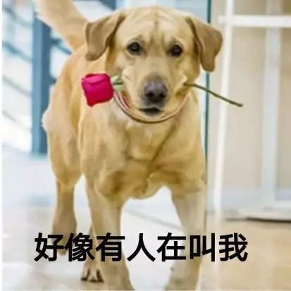 电影制片案例_影视制片工作例子_四大电影的制片人视角与故事