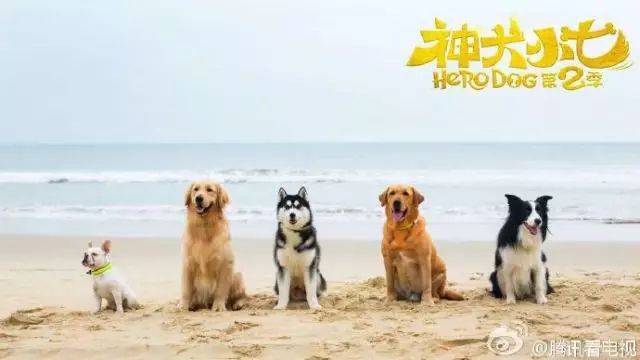 四大电影的制片人视角与故事_影视制片工作例子_电影制片案例