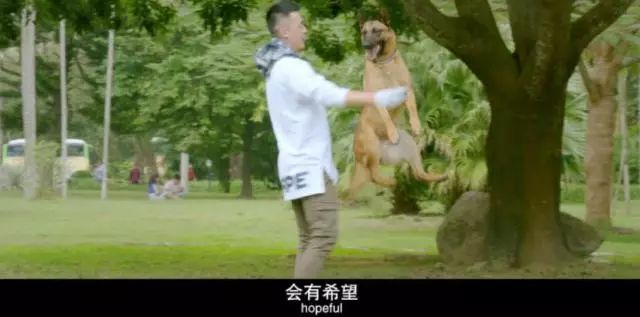 四大电影的制片人视角与故事_电影制片案例_影视制片工作例子