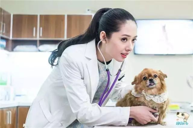电影制片案例_影视制片工作例子_四大电影的制片人视角与故事