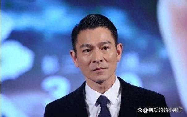 刘德华的艺术人生_刘德华的艺术追求与创新_刘德华艺术家